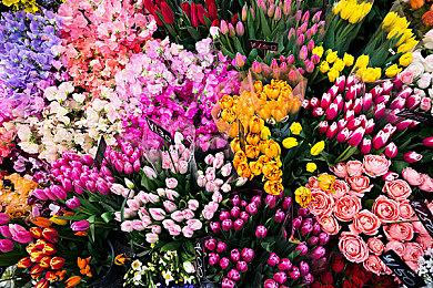 《莱莎的炼金工房3》上架Steam 明年发售可加入愿望单