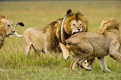 The Chinese Room重获独立 已经脱离Sumo Digital