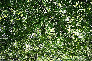 《如龙8外传》Steam好评如潮 首日补丁追加中文配音